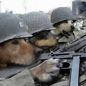 Meet your Posher, Richard